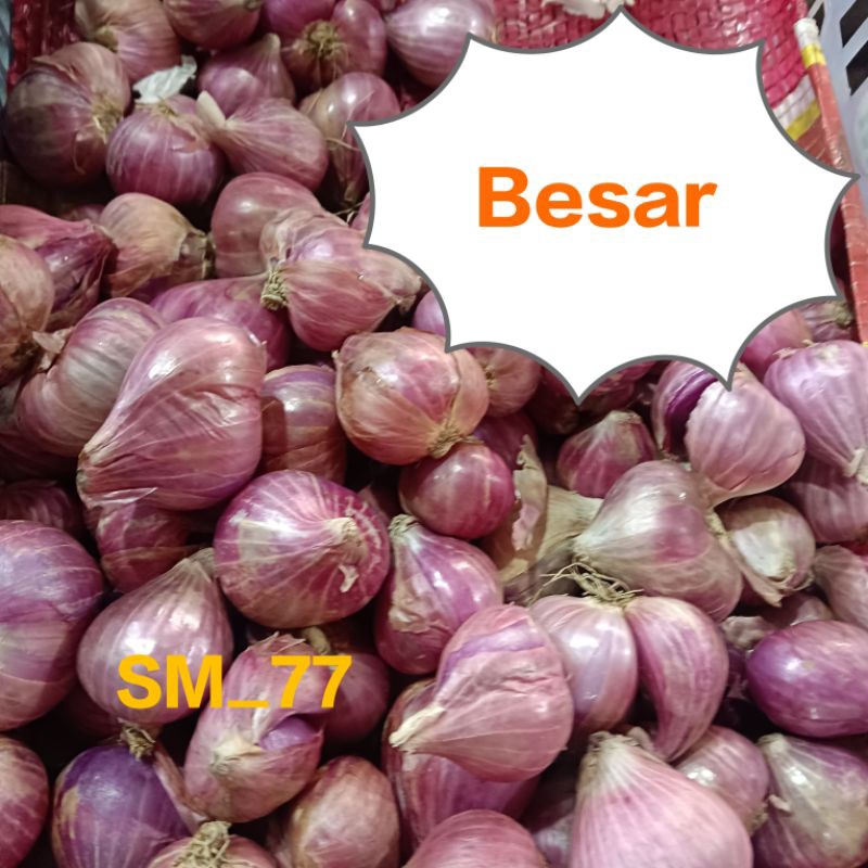 

Bawang Merah 500 gr | Bawang Merah Campur | Bawang Merah Besar