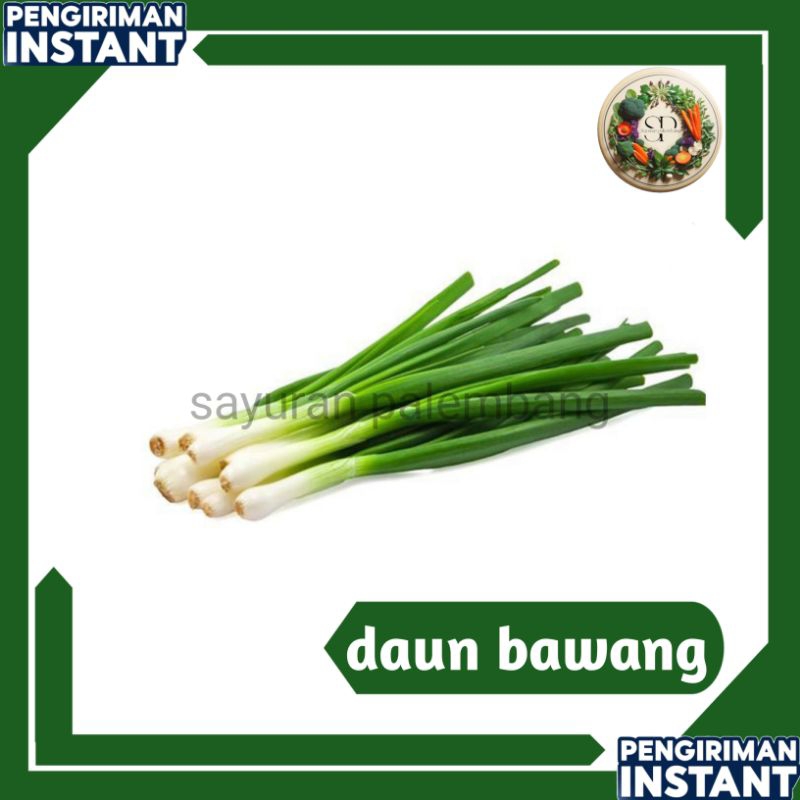 

daun bawang - sayuran palembang