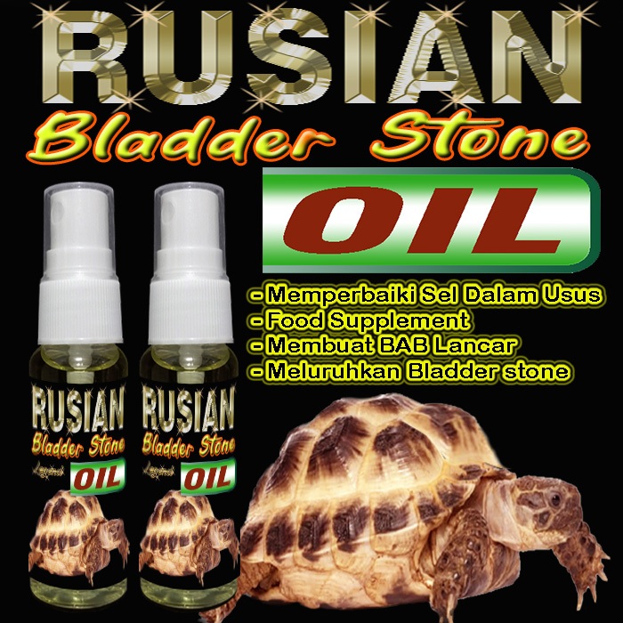 RUSIAN BLADDER STONE OIL OBAT MELANCARKAN PENCERNAAN MELURUHKAN DAN MENCEGAH BS TORTOISE FOOD SUPLEM