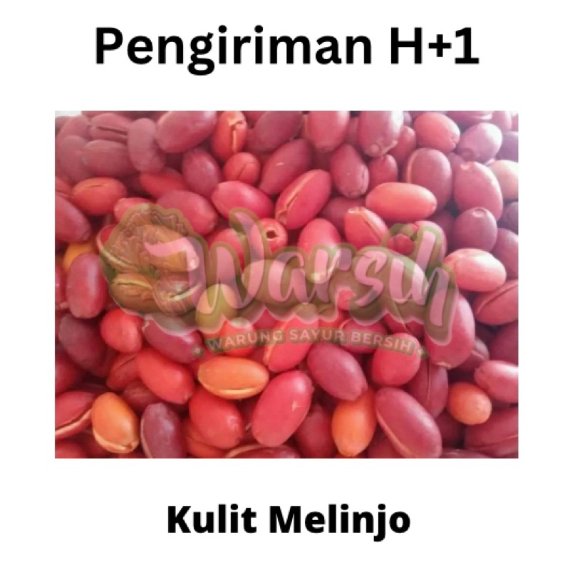 

WARSIH • KULIT MELINJO / TANGKIL 100gr