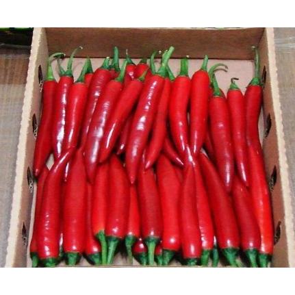 

cabe merah besar 500gr