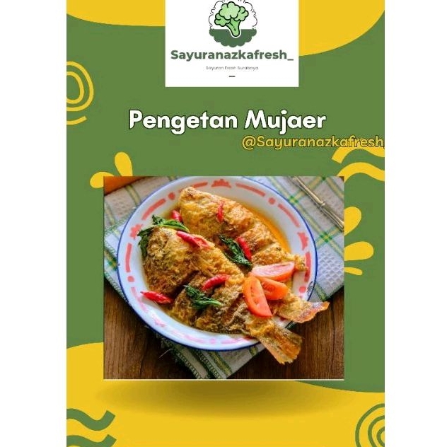 

Pengetan mujaer [3pcs]