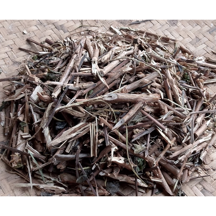 Ranting Pohon Jambu Biji Kering Alami