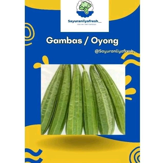 

gambas / Oyong