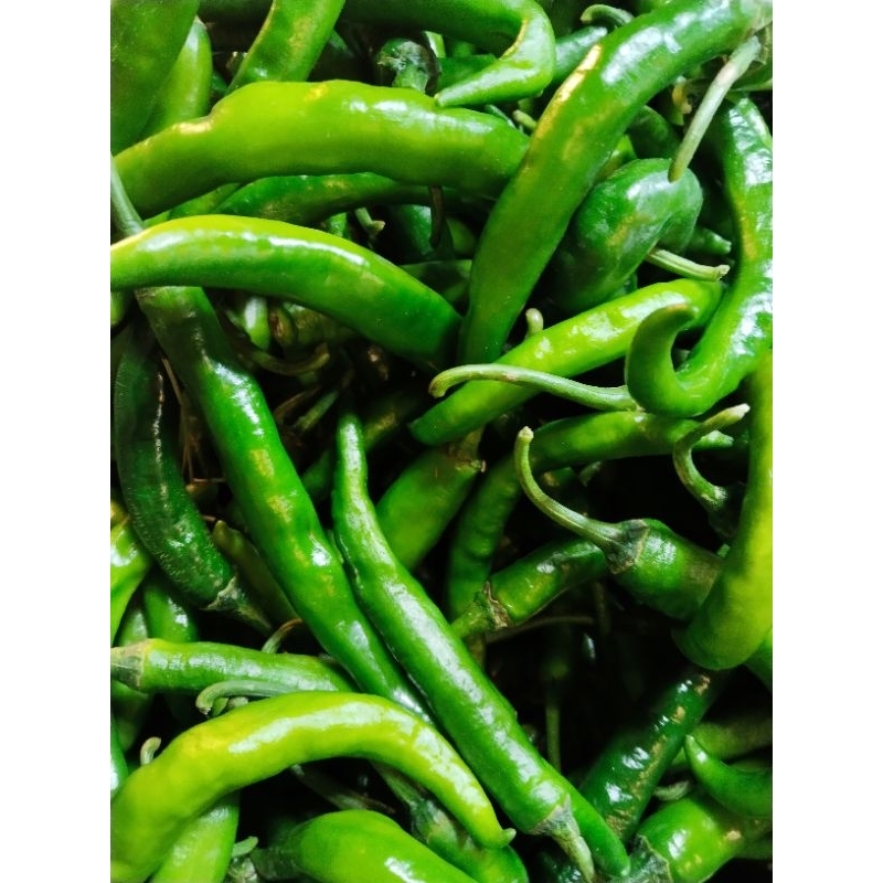 

cabe besar hijau fresh.