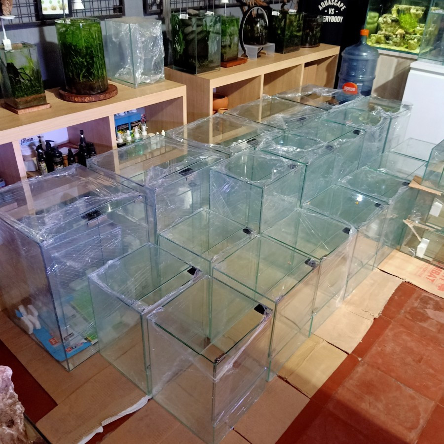 A100 NEO GLASS TERRARIUM VIVARIUM PALUDARIUM TANK AQUARIUM AQUASCAPE