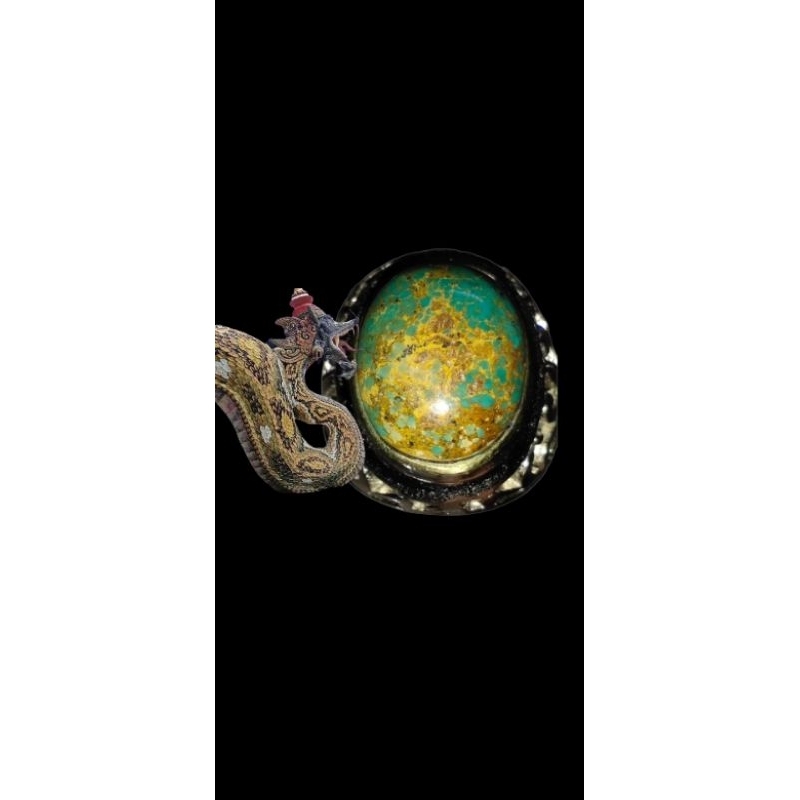 pirus persia motif / gambar naga antaboga