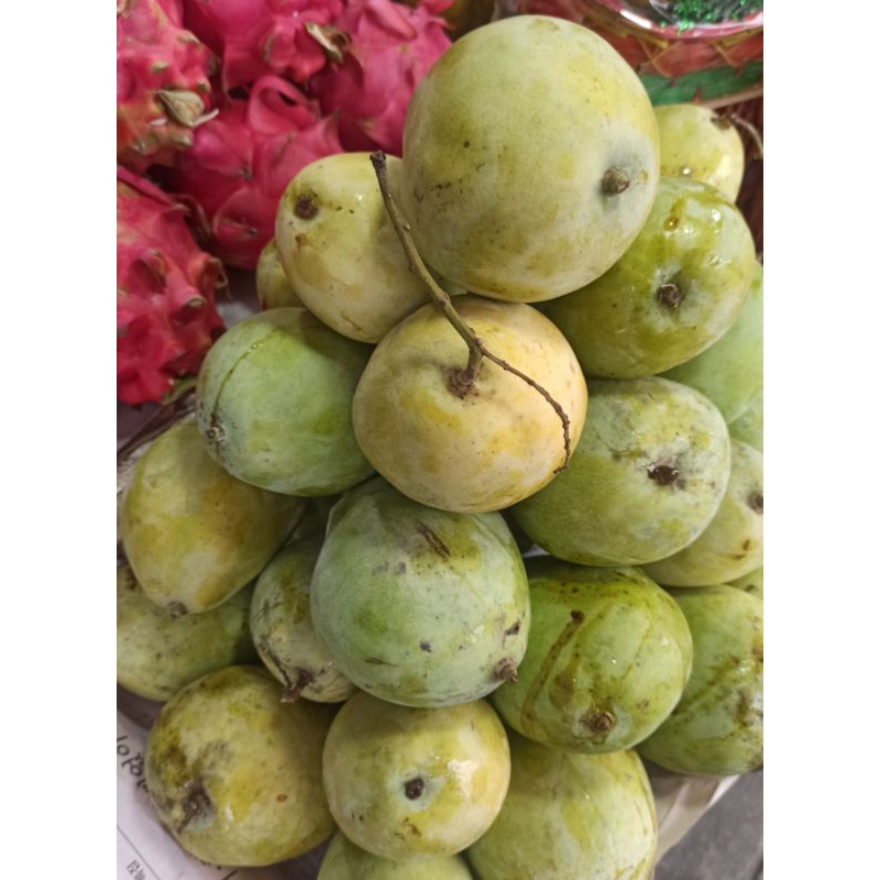 

Mangga Indramayu