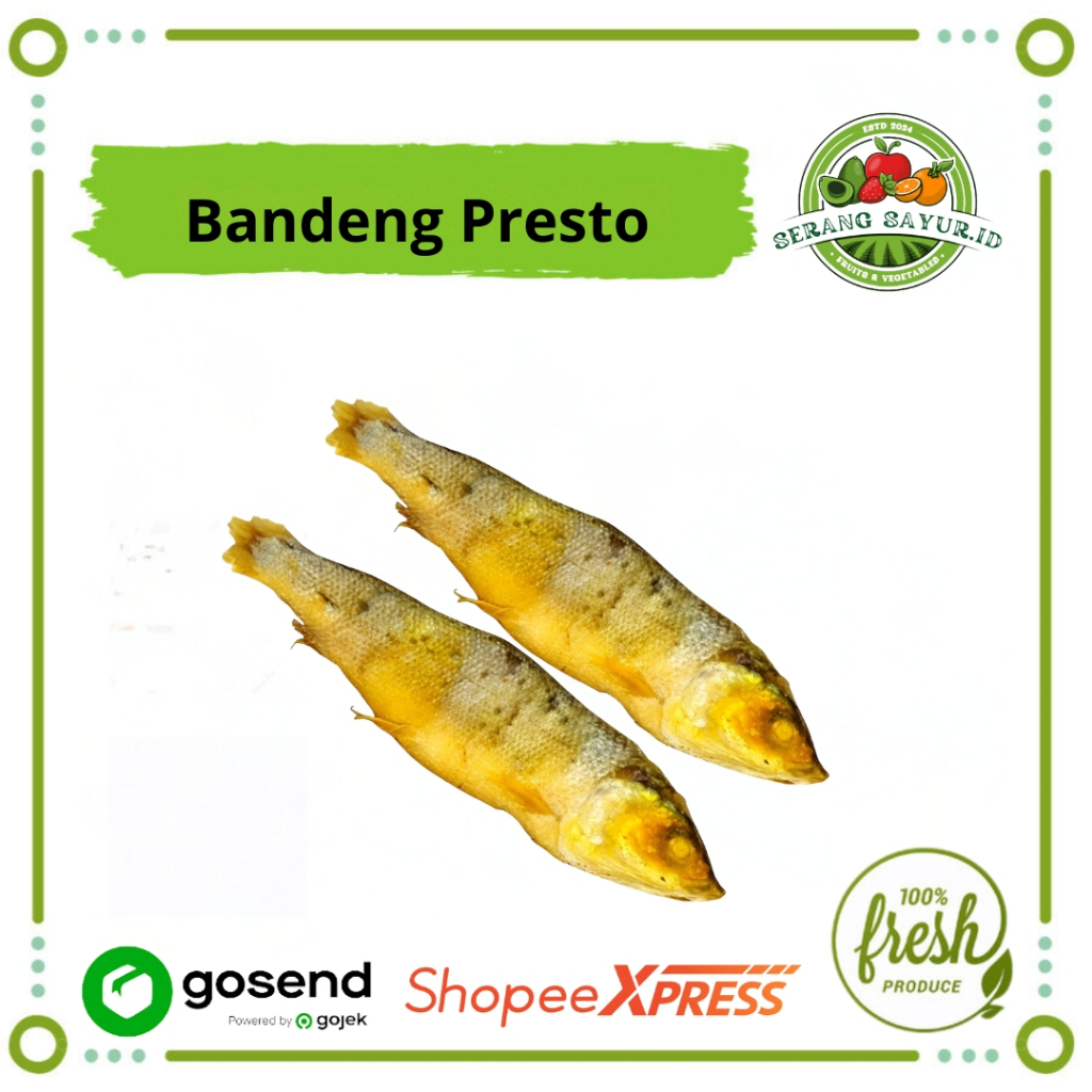 

[INSTAN SERANG] PRESTO IKAN BANDENG 3 PCS