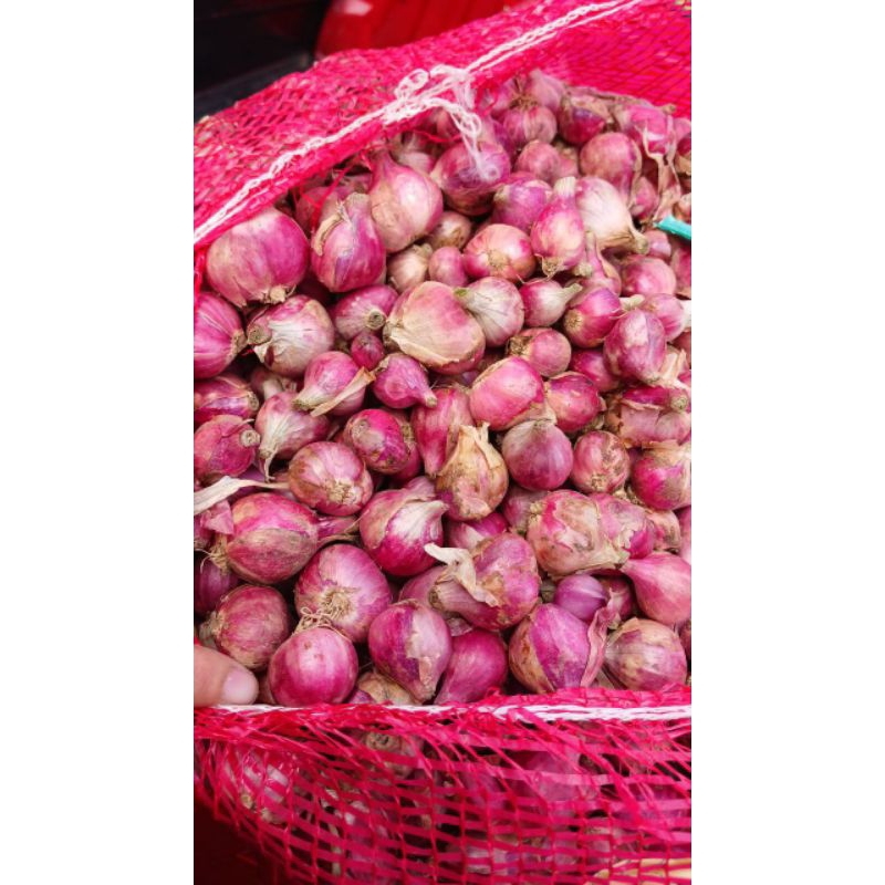 

1 kg bawang merah super kering pati brambang pati