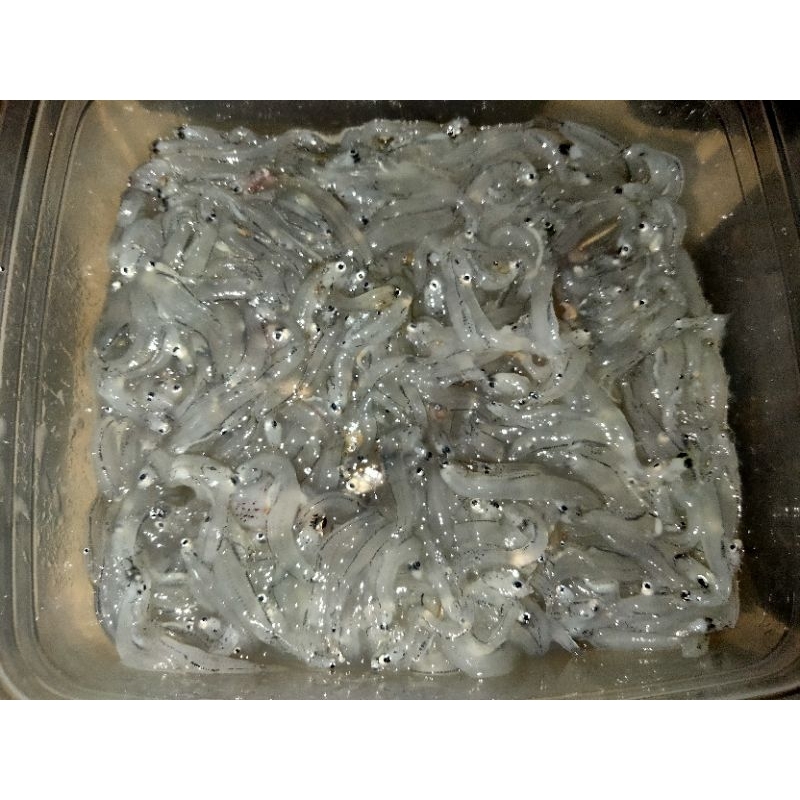 

ikan teri nasi basah MPASI