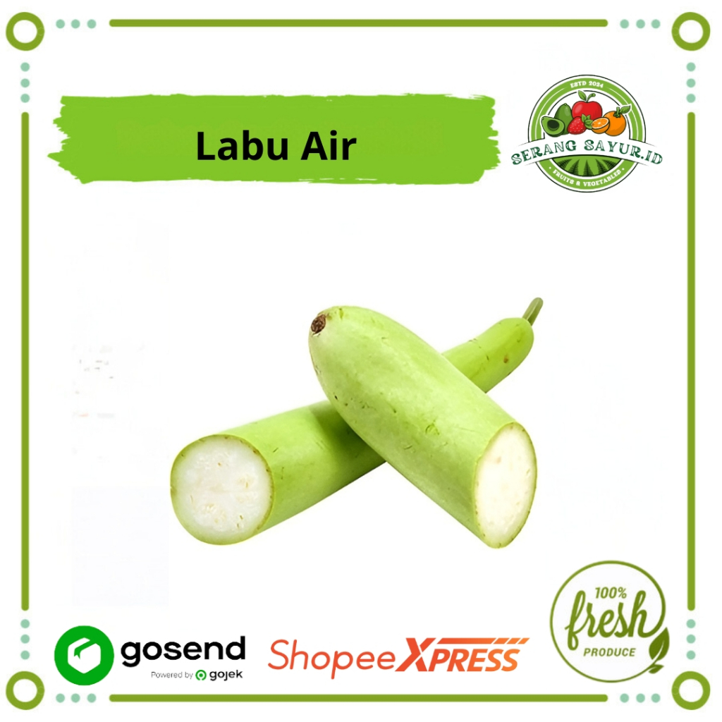 

[INSTAN SERANG] LABU AIR 1 BUAH