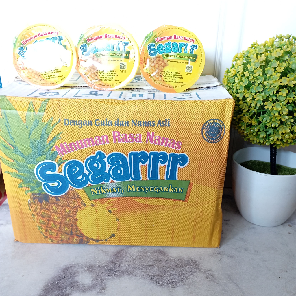 

MINUMAN SEGARRR SARI NANAS 1 KARTON ISI 32 PCS - Minuman Khas Blitar/Minuman Sari Nanas/Minuman Segar Sari Nanas