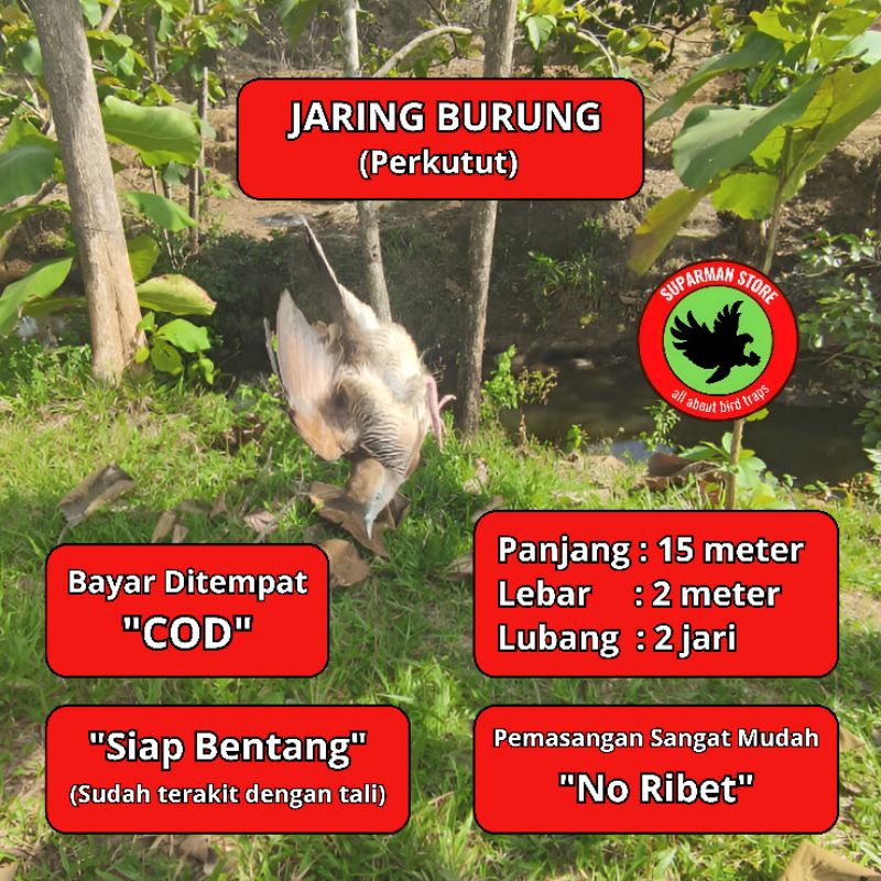 JARING BURUNG PERKUTUT 10 JARING BURUNG KUTUT JARING BURUNG KUTUT JARING BURUNG BESAR JARING BURUNG 
