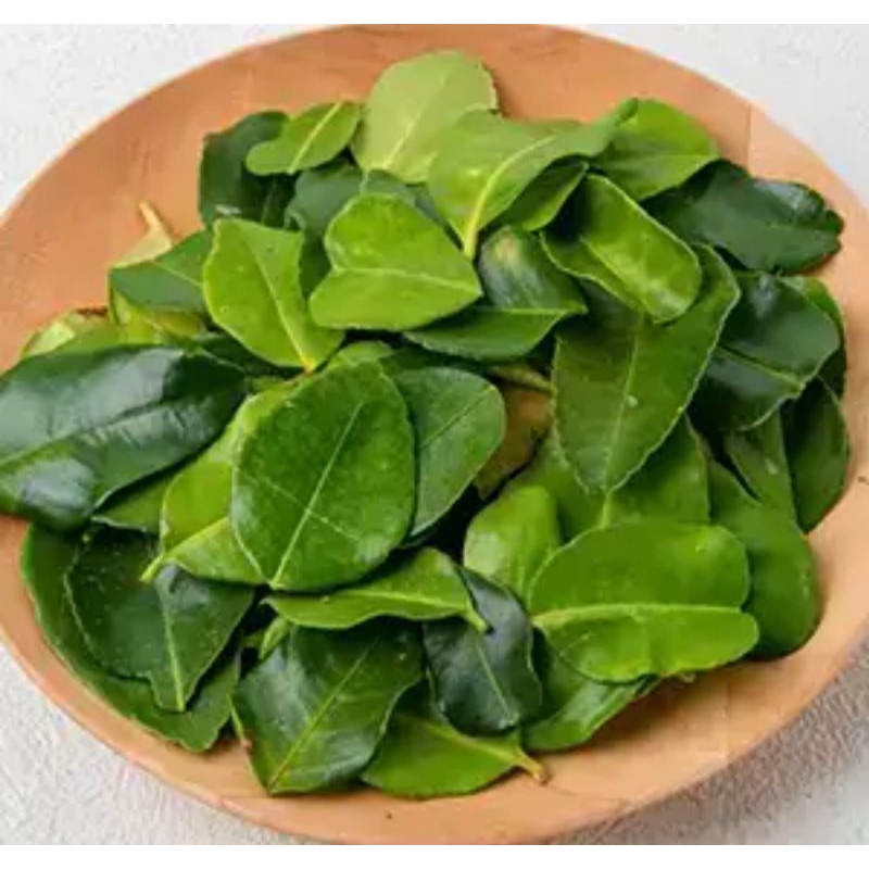 

daun jeruk pack