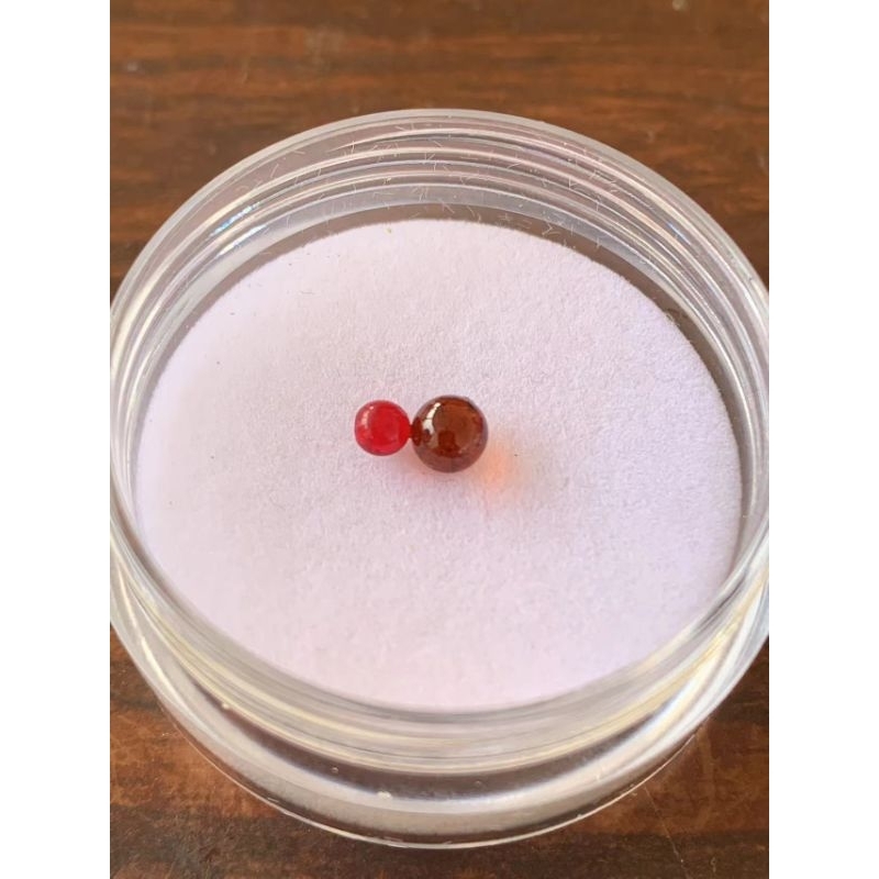 batu buntat lipan asli ori