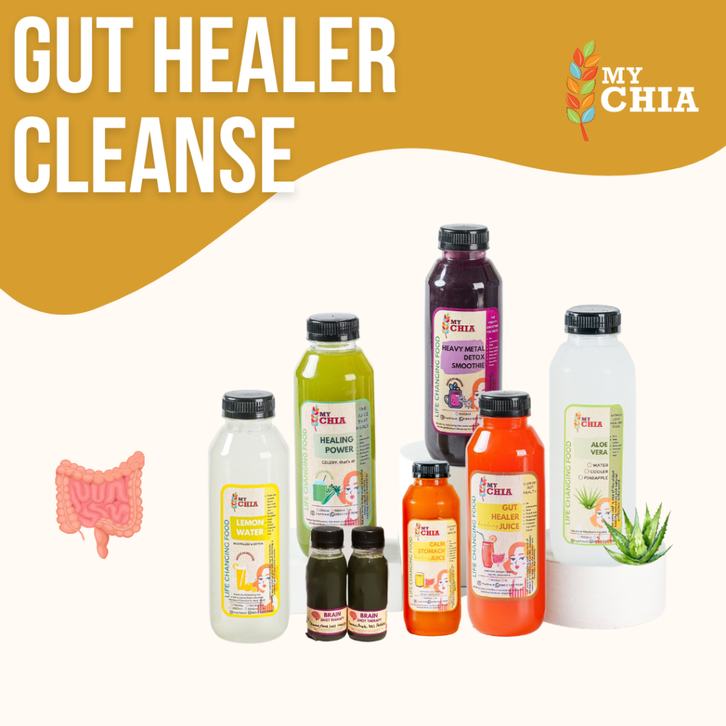 

Paket Gut Healer Cleanse Medical Medium Smoothie Detox Maag Gerd Pencernaan Asam Lambung Juice Jus Cleanse to Heal