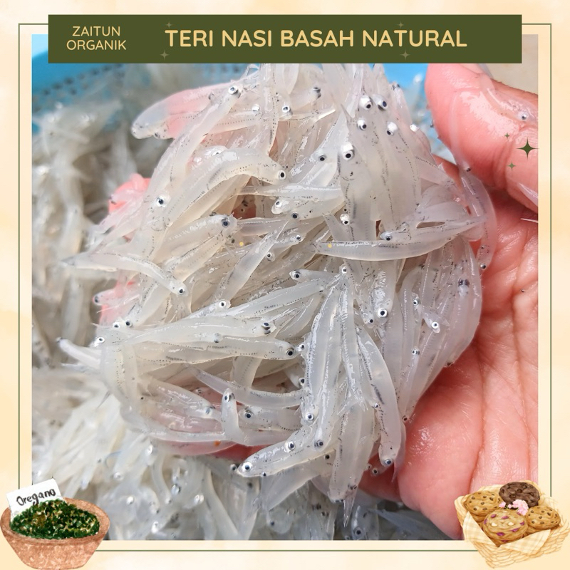 

Teri Nasi Basah | Tanpa formalin | Teri Nasi Basah Natural | Tanpa Pengawet | Tanpa Di asinkan | Teri nasi Mpasi | Mpasi baby | Teri nasi basah superfood | Anchovy | Teri nasi basah