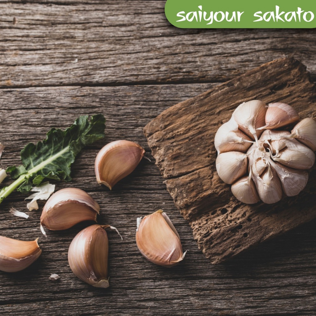 

Bawang Putih - Saiyour Sakato