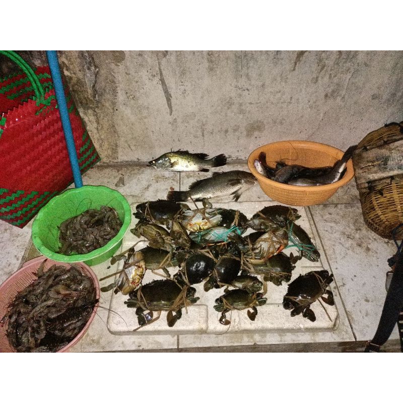 

kepiting tambak kroyo isi 6789 1kg