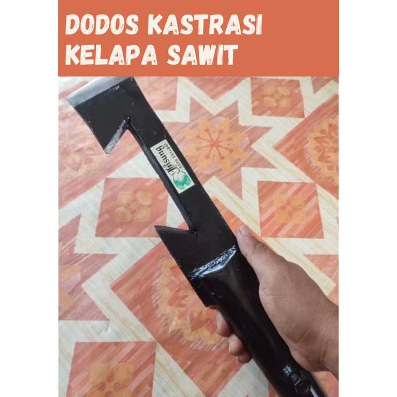DODOS KASTRASI KELAPA SAWIT