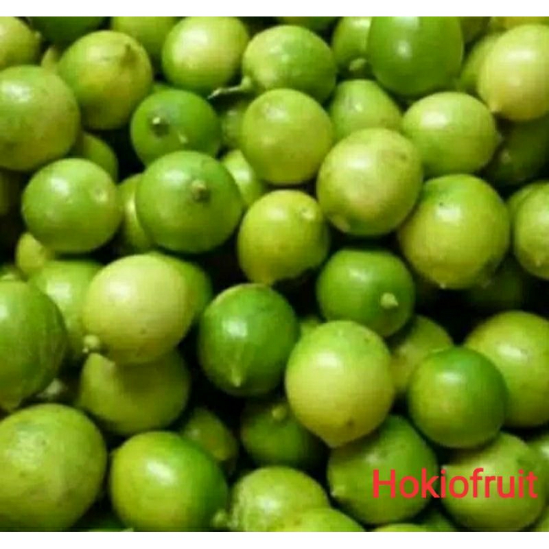 

Jeruk Nipis Jeruk Sambal / hokkysayur19