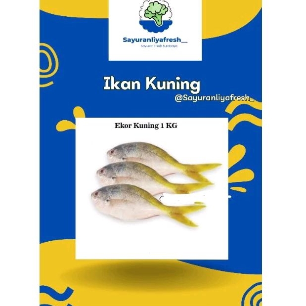 

ikan kuning ±1kg