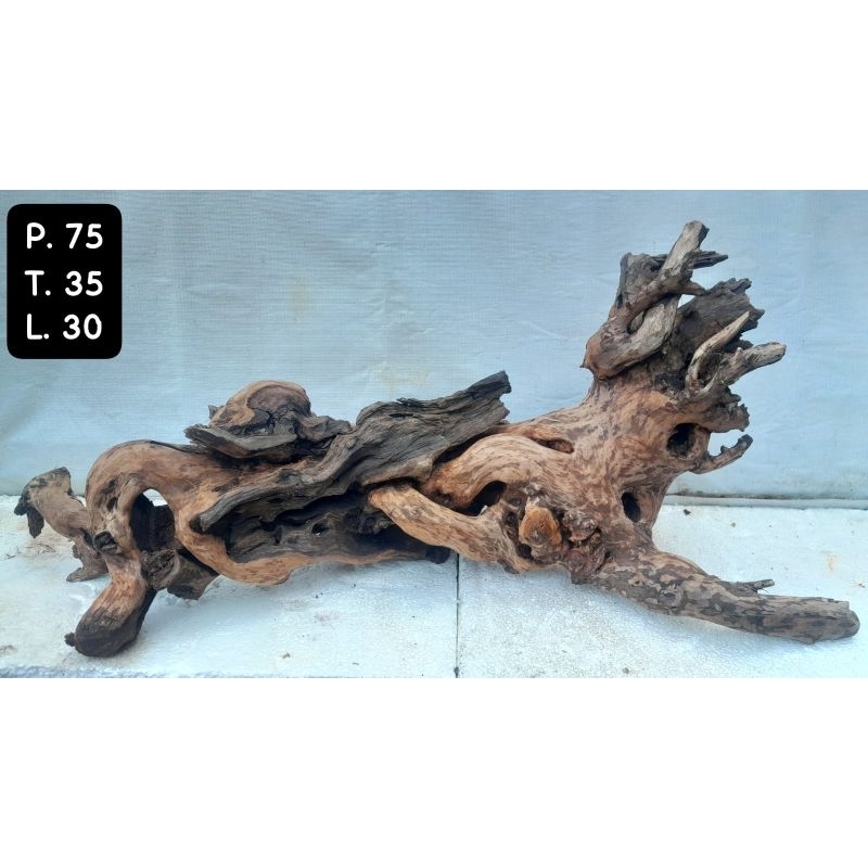 Kayu Aquascape - Kayu Santigi (Besar)