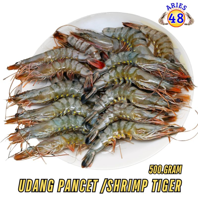 

Udang Tiger (Tambak) 300Gram