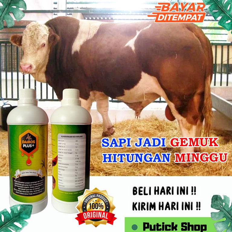 KODE N26V MOLASE TETES TEBU PENGGEMUK SAPI DAMOS PLUS PENGGEMUK SAPI VITAMIN KAMBING VITAMIN SAPI OB