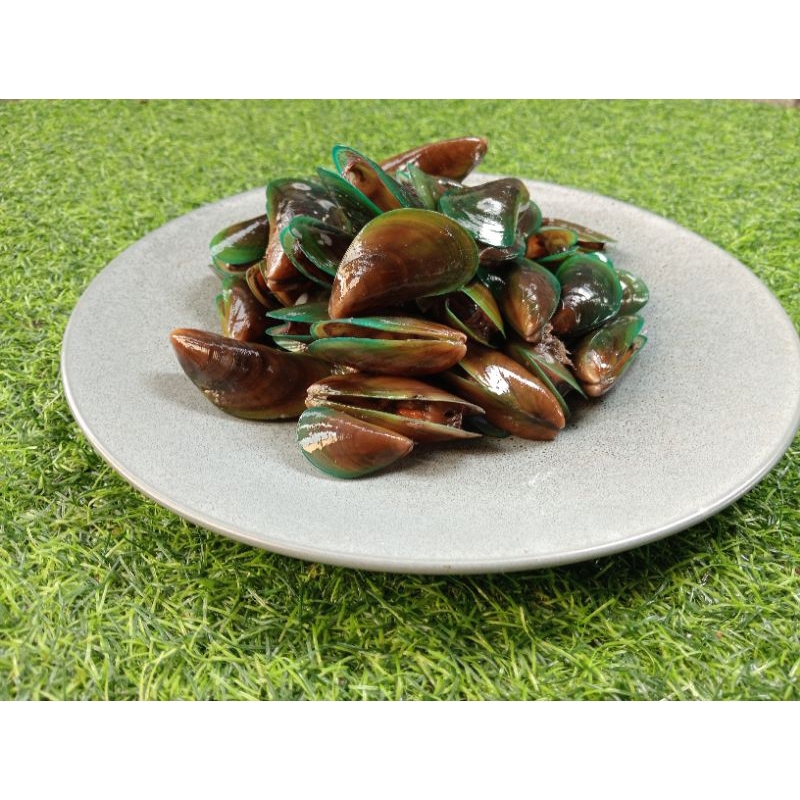 

kerang hijau