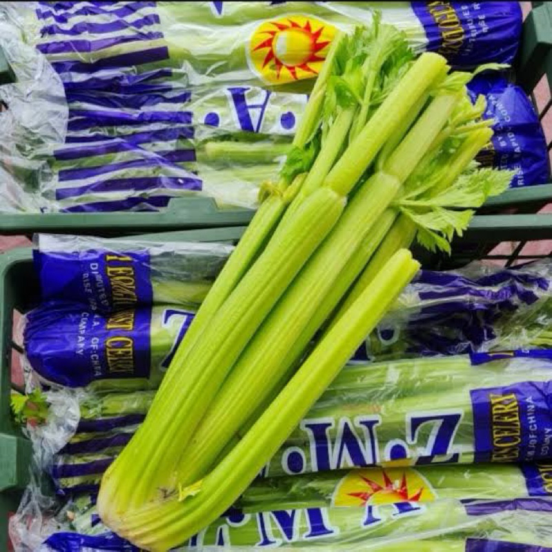

Celery Stick IMPORT