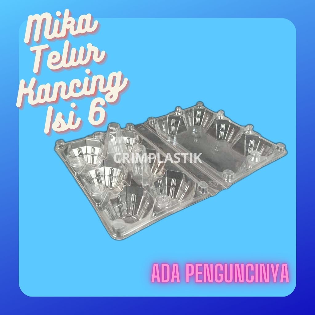Tray Telur / Egg Tray / Mika Telur Negeri isi 6 dengan Pengunci Rapat
