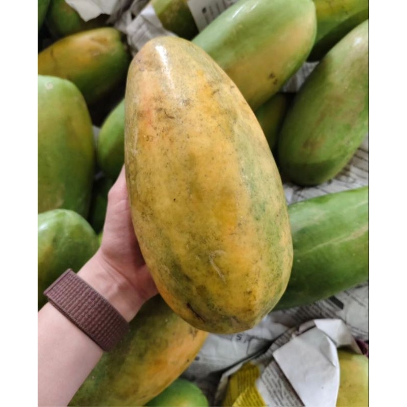 

pepaya California 1 buah utuh