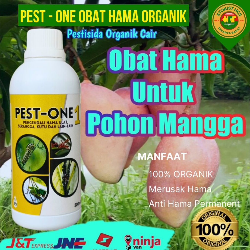 PEST ONE obat hama utk pohon mangga pestisida organik cair pembasmi hama tanaman insektisida ulat...