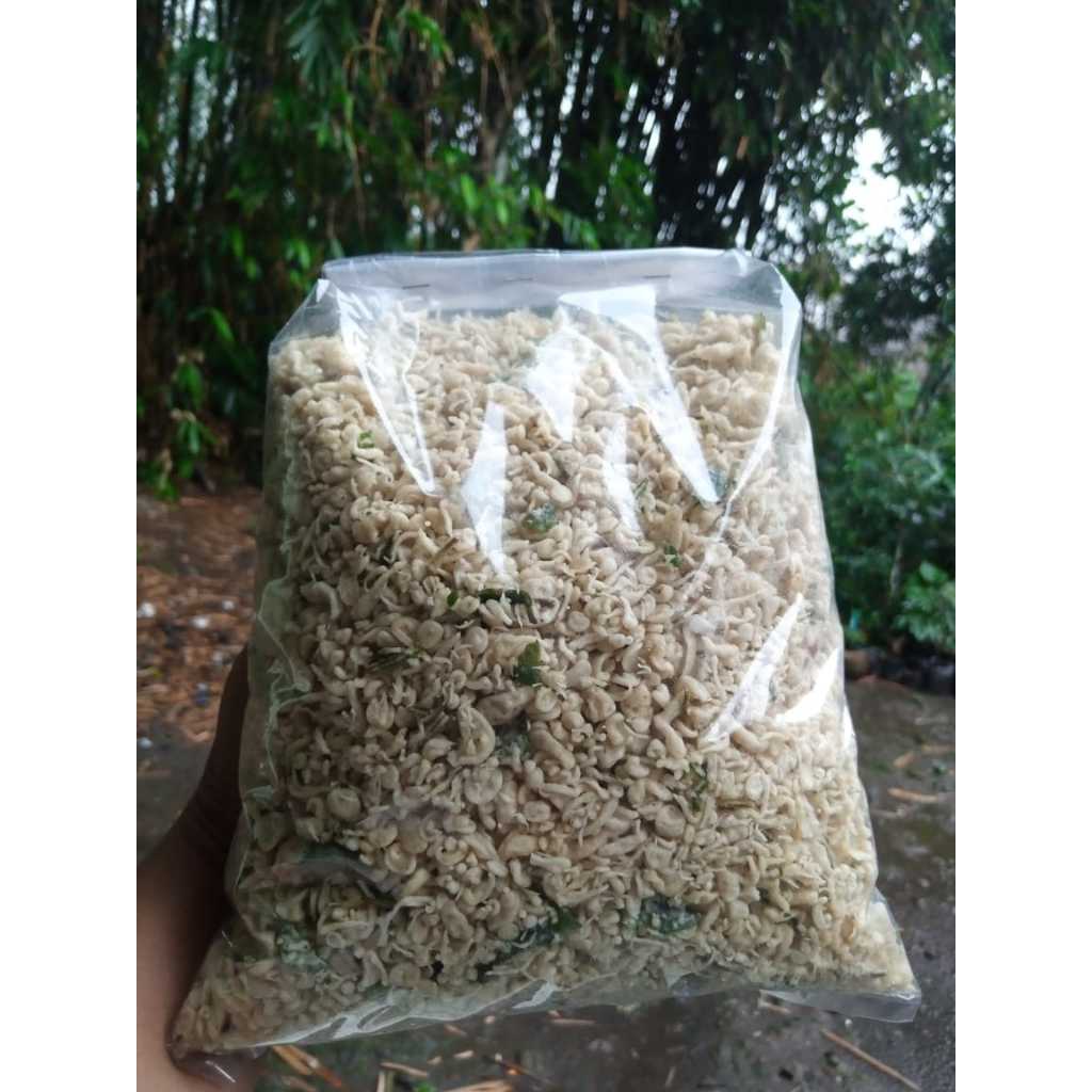 

CEMILAN/REMUKAN KRIPIK BAYAM KEMASAN 1KG