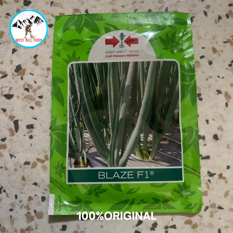 DAUN BAWANG BLAZE PANAH MERAH 100% ORIGINAL