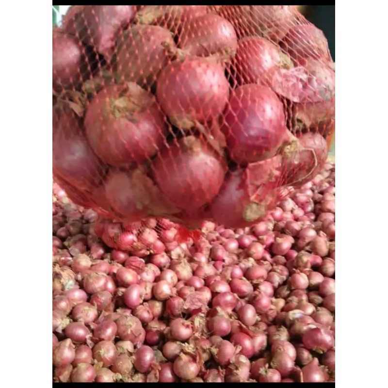 

bawang merah lokal asli garut isi 1kg dan 500gram
