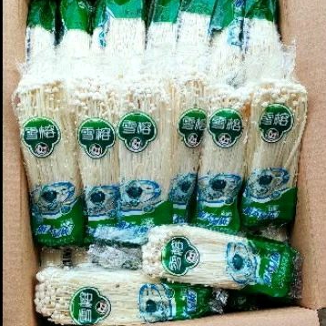 

JAMUR ENOKI ASTRONOT