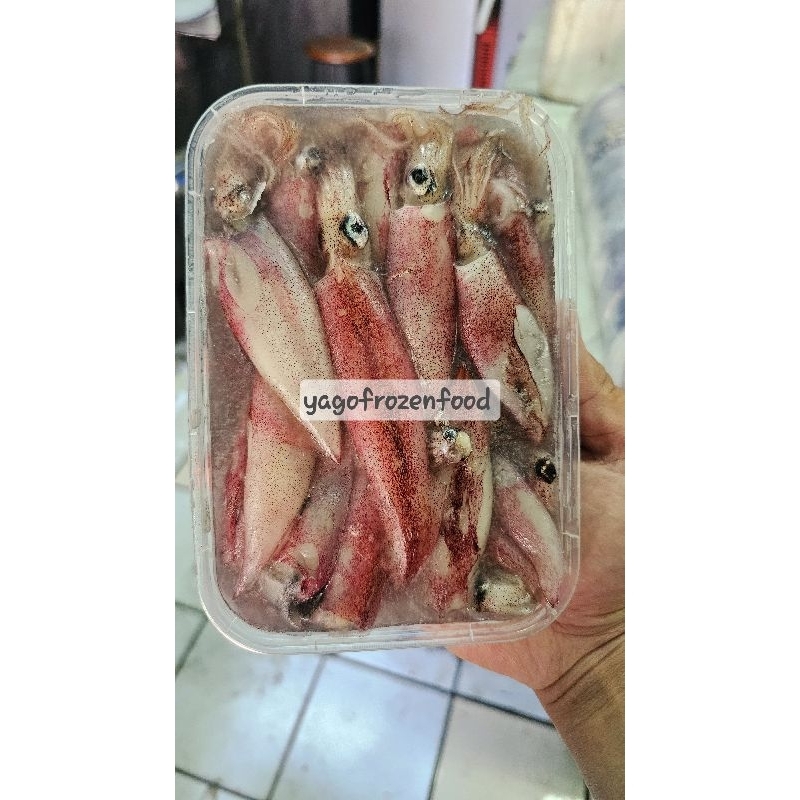 

Cumi Sero Segar / Cumi Fresh Premium