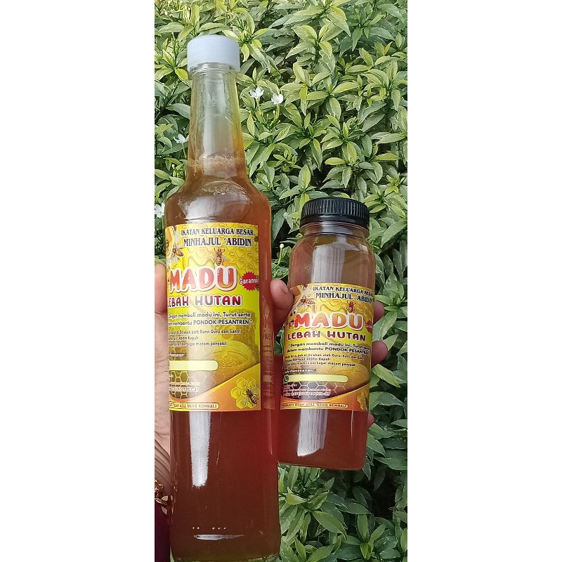 

madu asli lebah hutan