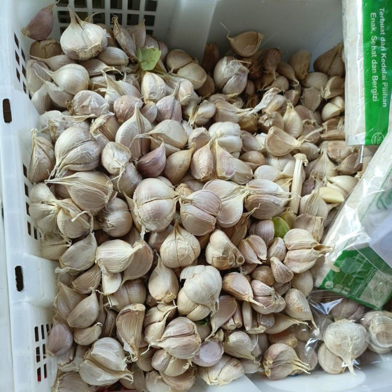 

bawang putih cating