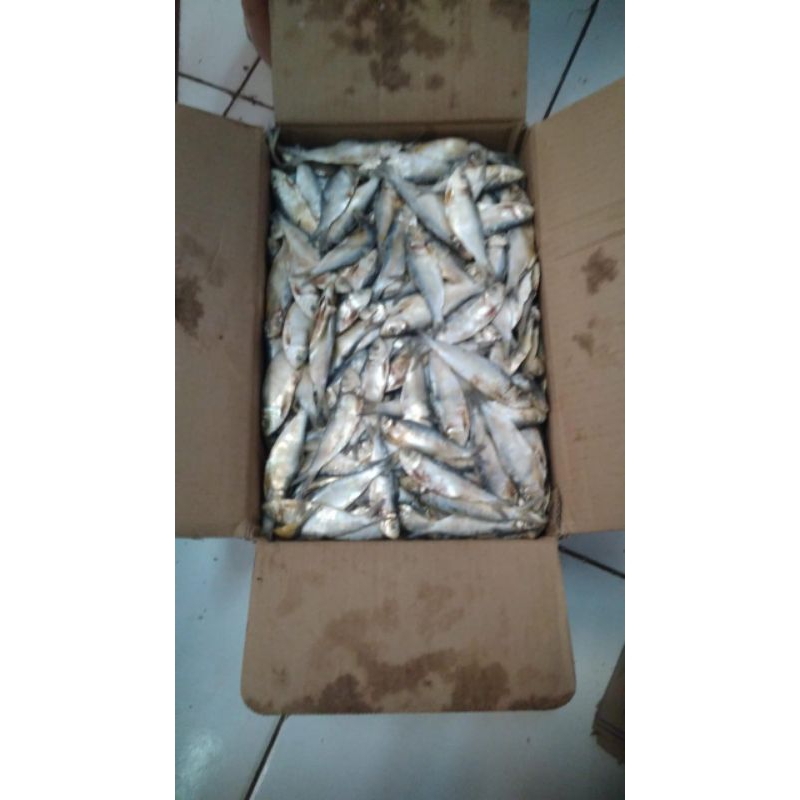 

ikan asin tanjan segar murah 250gr