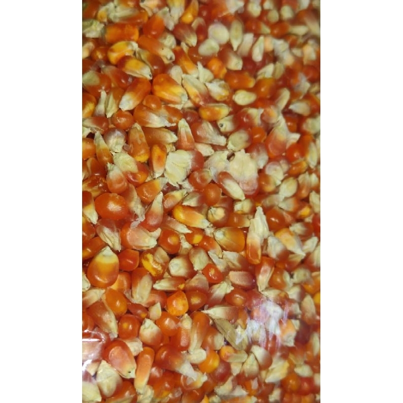 

JAGUNG KRISTAL SUPER GRADE A - 500 GRAM