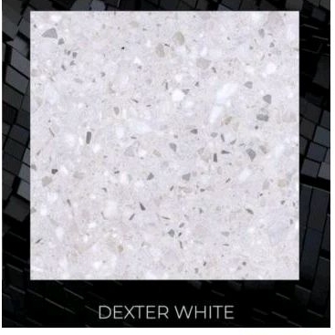 keramik 50 x 50 Dexter -Pt( motif terrazo alus tekstur matt) kw1