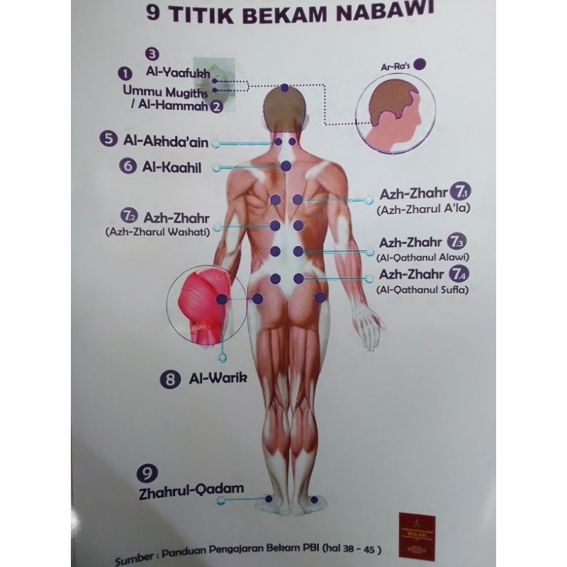 FOSTER TITIK BEKAM NABAWI