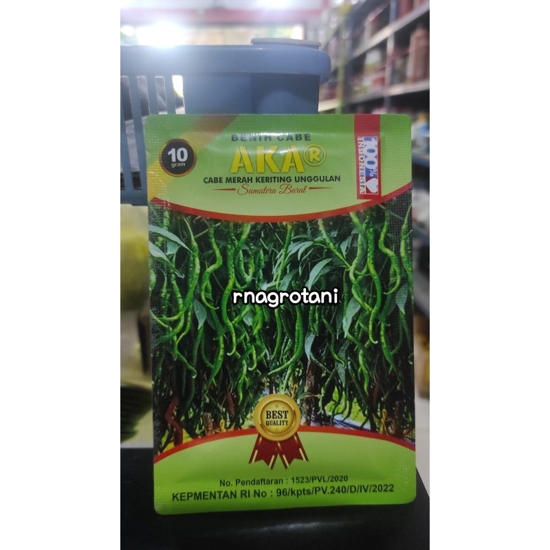 Benih cabe akar