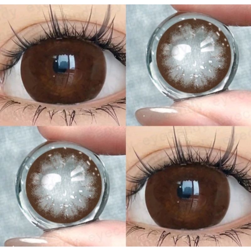 Soflent minum soflent 14.5mm Ligeyes Brown and black soflen minus korean