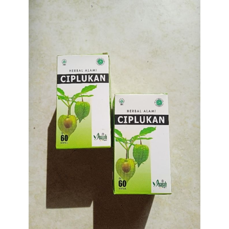 Kapsul Ciplukan | Daun Ciplukan Inayah