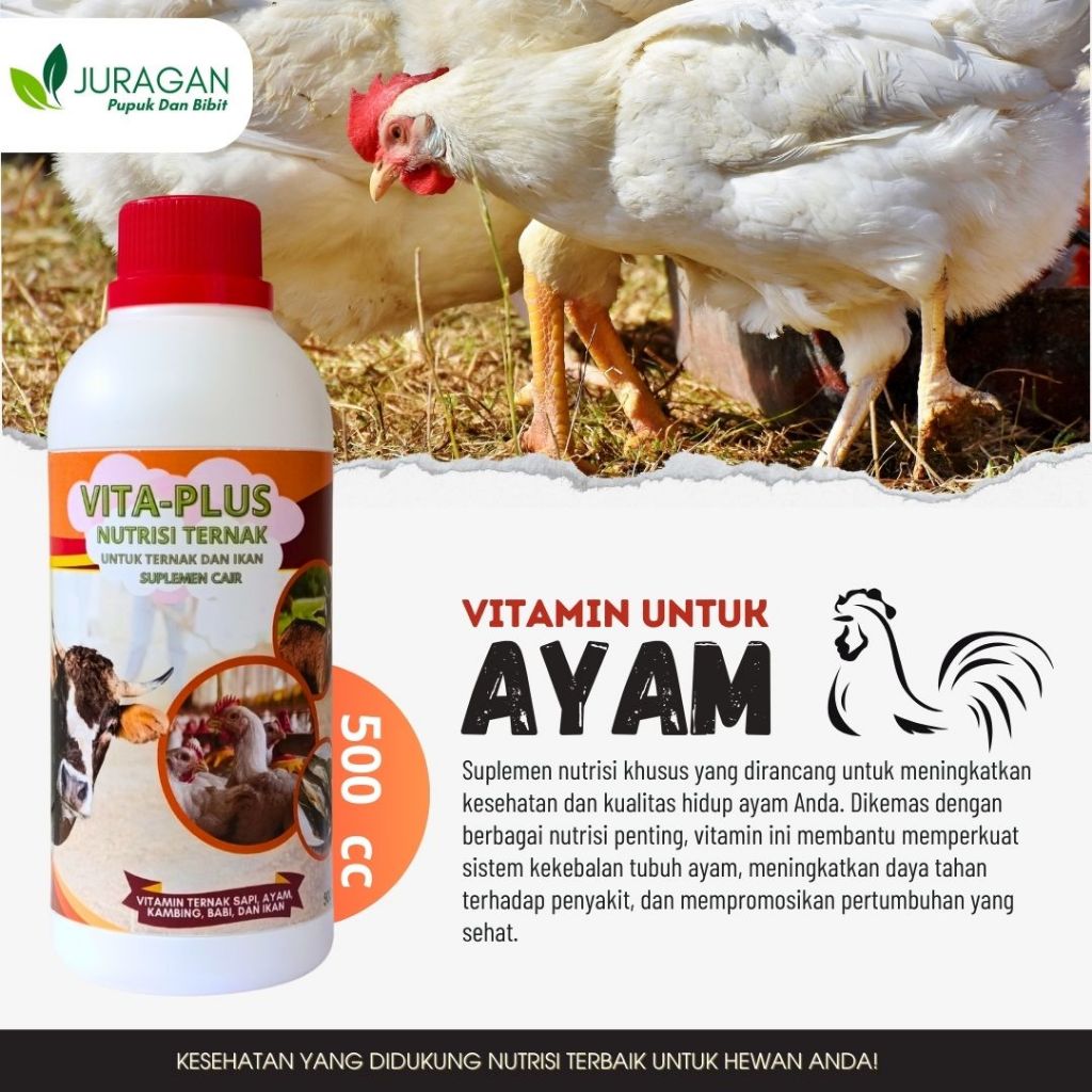 Vitamin Ayam Cepat Besar, Vitamin Ayam Broiler, Vitamin Ayam Kampung VITA-PLUS 500 cc